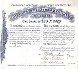 share certificate